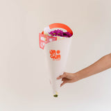 Cono Essential