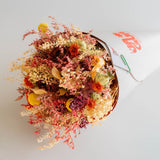 Cono La Jagua Forever