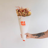 Cono La Jagua Forever