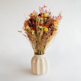 Cono La Jagua Forever