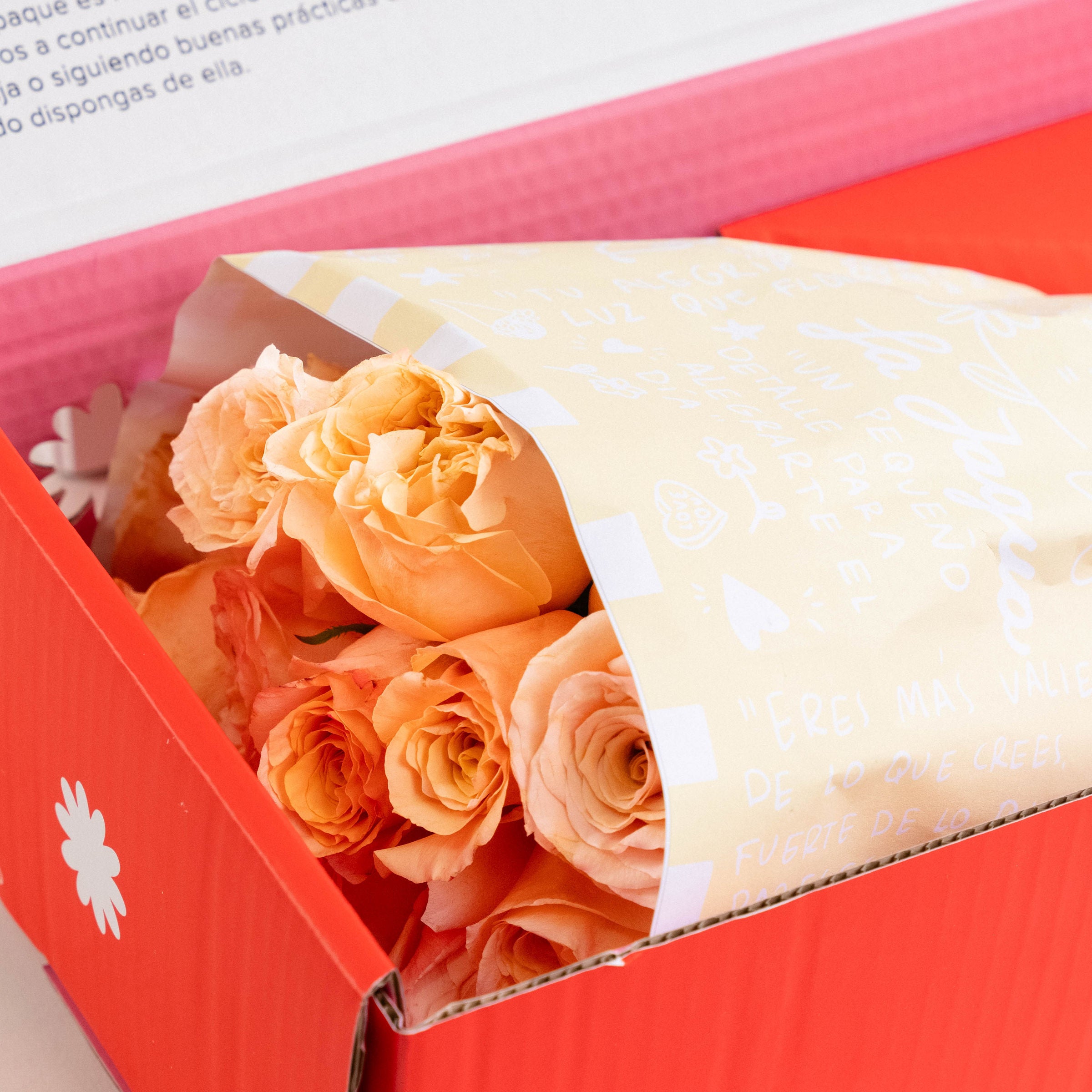 Caja Roses Premium